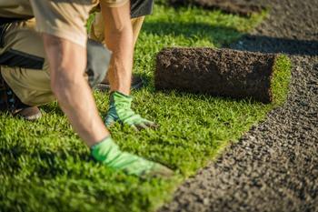 Man laying turf