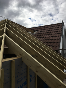 Cut Roof Project image