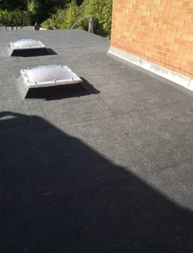 Flat Roof with Skylights Project image