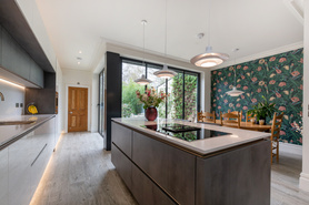 House Extension in SE24 Project image