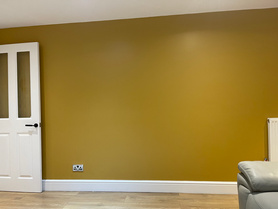 Painting & Decorating Feature Wall  Project image