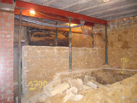 Basement conversion and extension Project image
