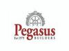 Logo of Pegasus Builders (Petersfield) Limited