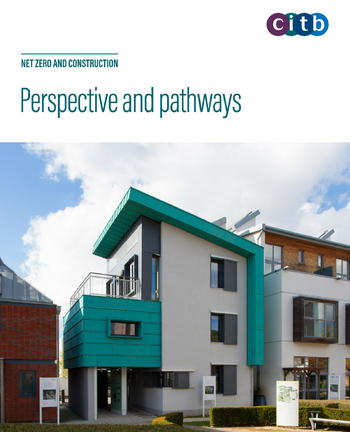 Perspective and pathways report covershot.PNG