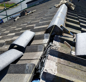 Roof Renovation  Project image