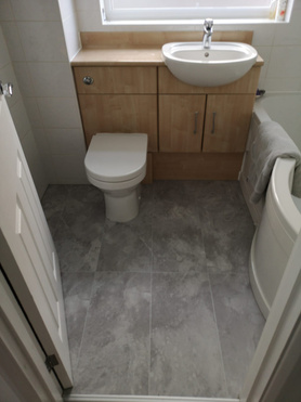 Flooring & Toilet Change Project image