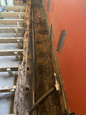 Wet rot  Project image