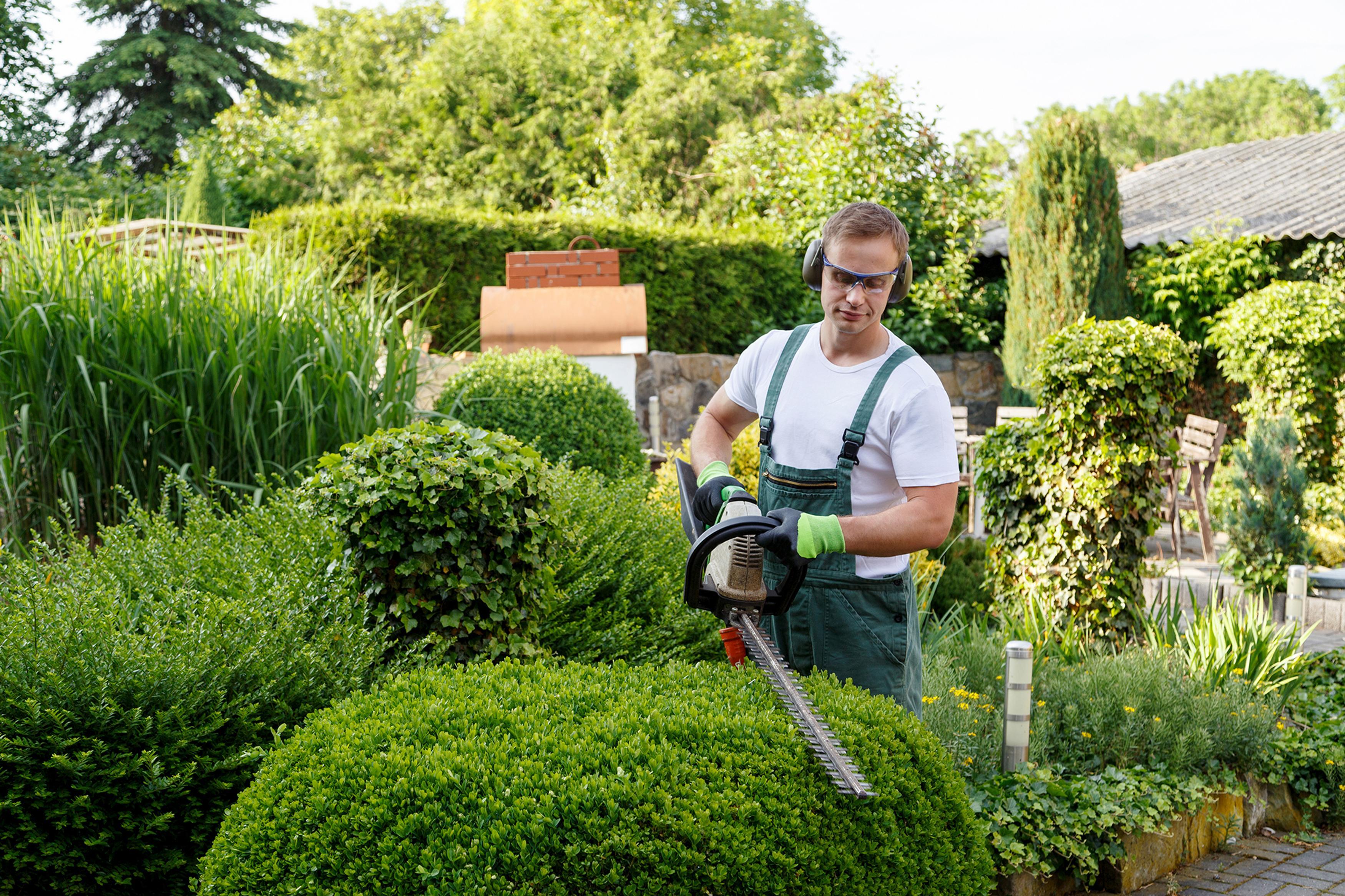 Image of a gardener landscaping a garden