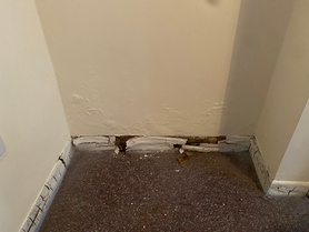 Rising Damp  Project image