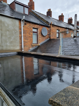 EPDM Rubber Roof and Wall Rendering Project image