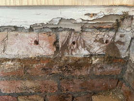 Dry Rot Project image