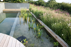 Natural swimming pool installations Project image