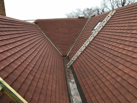 Roof tiles Project image