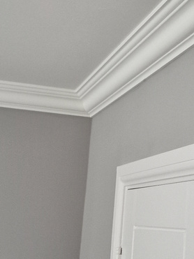 Ceiling Coving Project image