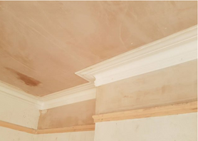 Repaired Cornice Project image