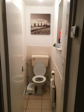 Toilet Transformation Project image