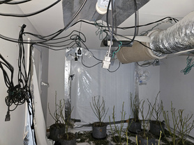 Cannabis farm to family home in two weeks. Project image