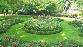 Rembrandt Gardens Project image