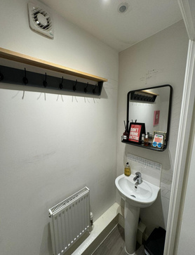 New downstairs toilet  Project image