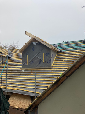 Roof and dormers Project image