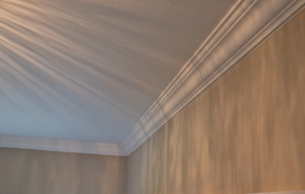 Ceiling Coving Project image