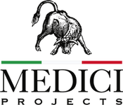 Medici Projects Logo Final.png