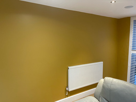 Painting & Decorating Feature Wall  Project image