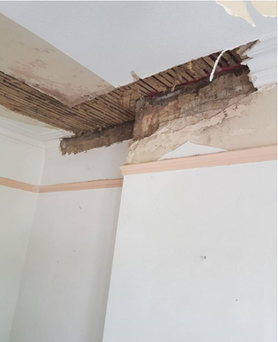 Repaired Cornice Project image