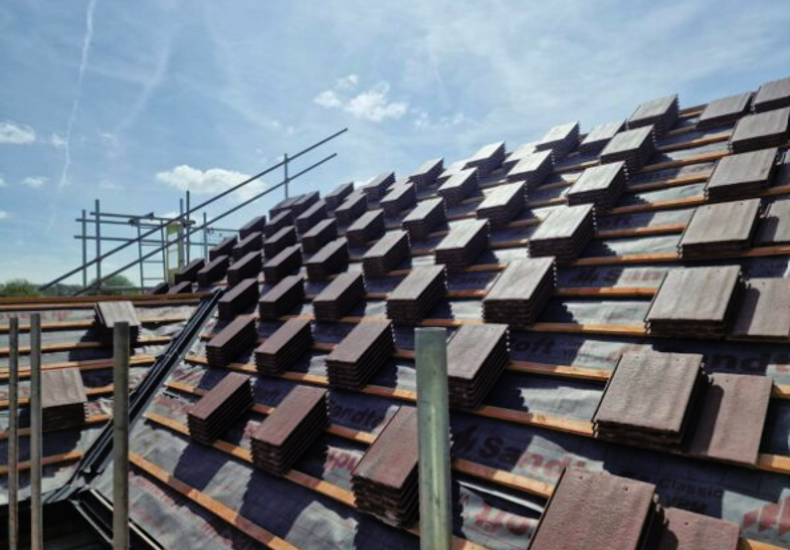 Terrain Designs Limited's featured image