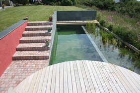Natural swimming pool installations Project image