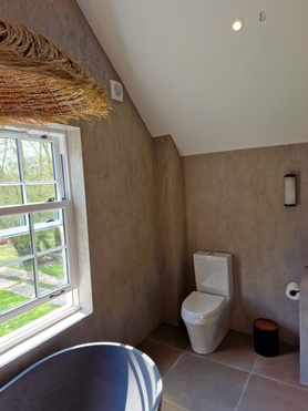 Bathroom with Italian Plaster Project image