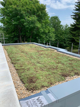 Green roof - winchester  Project image