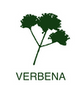Logo of Verbena Construction