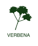 Logo of Verbena Construction